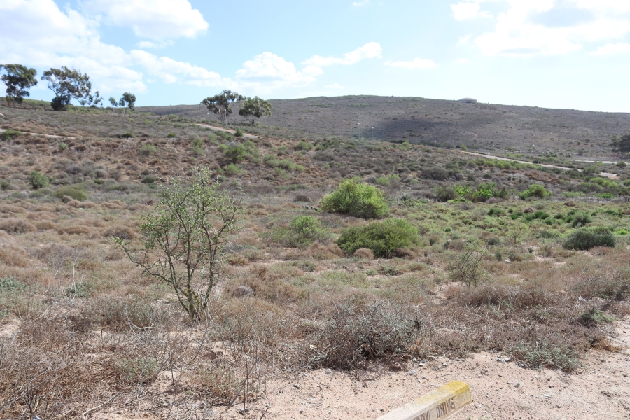 0 Bedroom Property for Sale in St Helena Views Western Cape